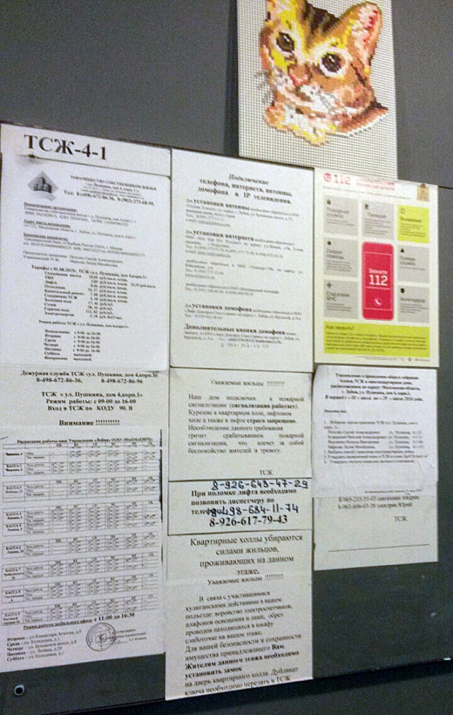 IMG-20160628-WA0000